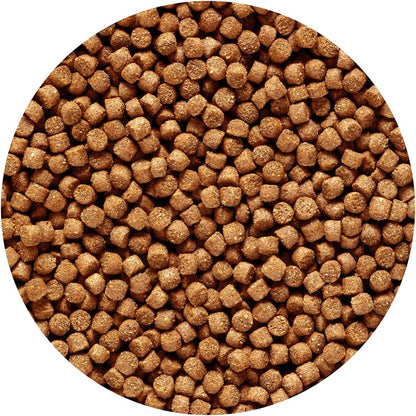 Close up of Hikari sinking mini pellets texture