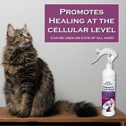 FlexTran Feline Ring Care bottle with mist pump applicator