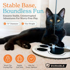Bird simulation kitten toys with eighteen interchangeable feather attachments.