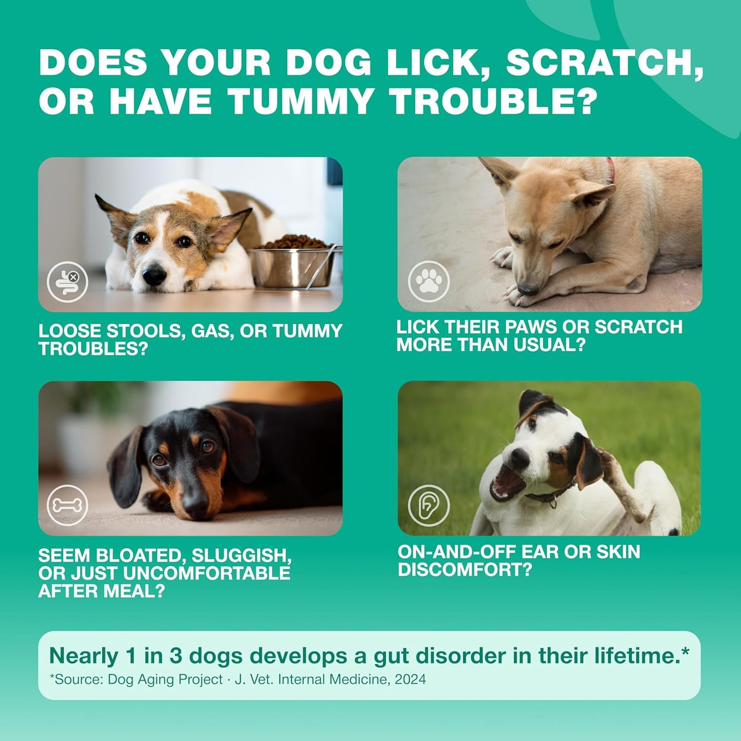 USA imported dog allergy relief treats in duck flavor for managing itchy skin.