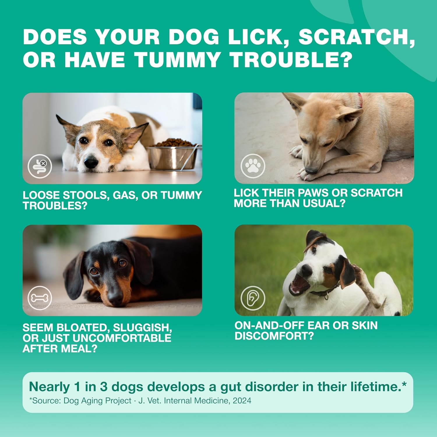 USA imported dog allergy relief treats in duck flavor for managing itchy skin.