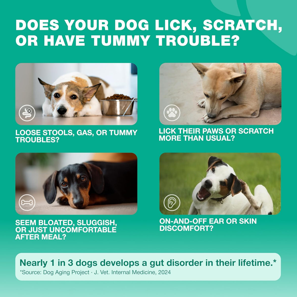 USA imported dog allergy relief treats in duck flavor for managing itchy skin.