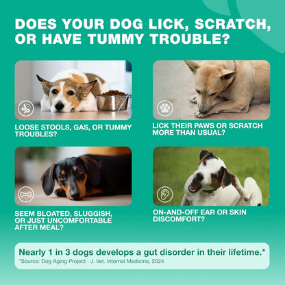 USA imported dog allergy relief treats in duck flavor for managing itchy skin.