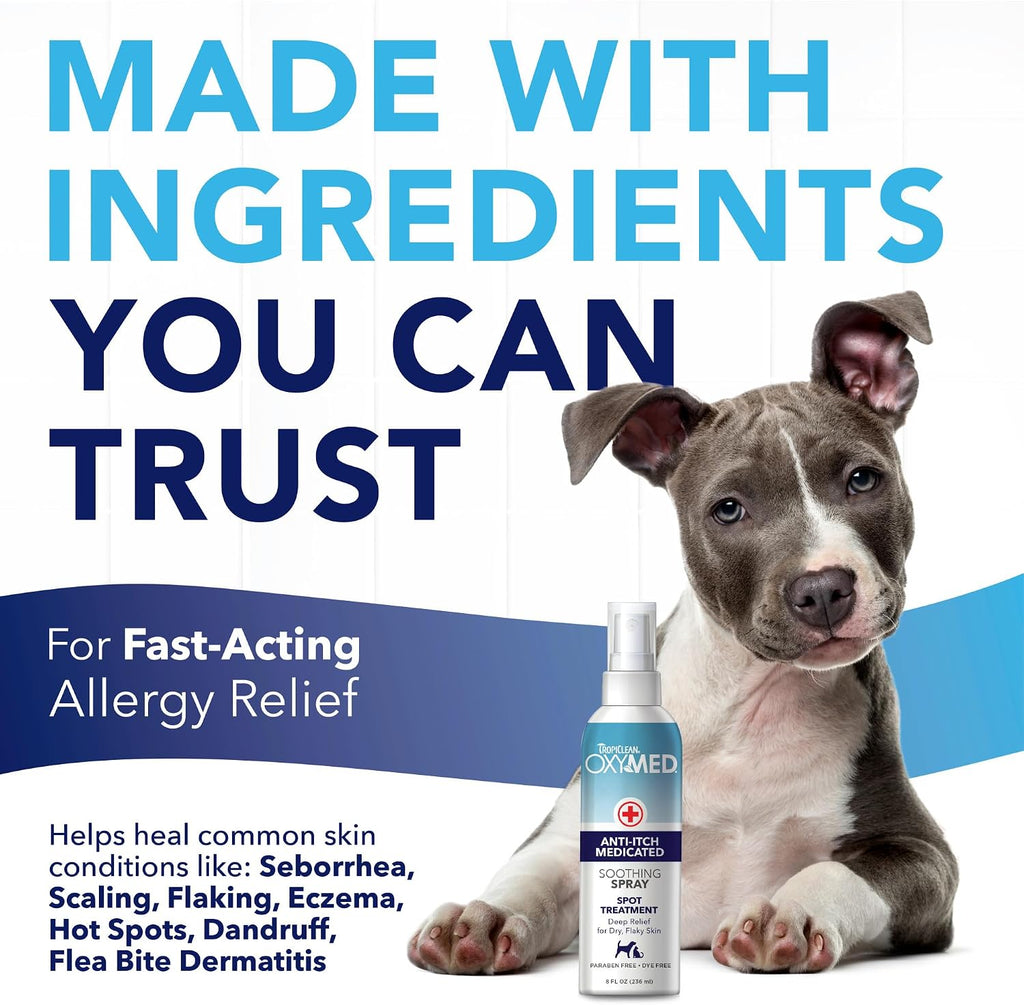 Dog receiving soothing skin treatment application