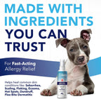Dog receiving soothing skin treatment application
