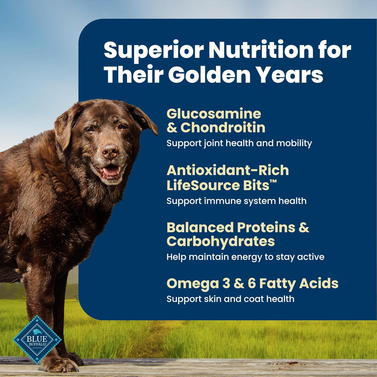 Nutritional Profile And Ingredient List On Back Of Dog Food Packaging