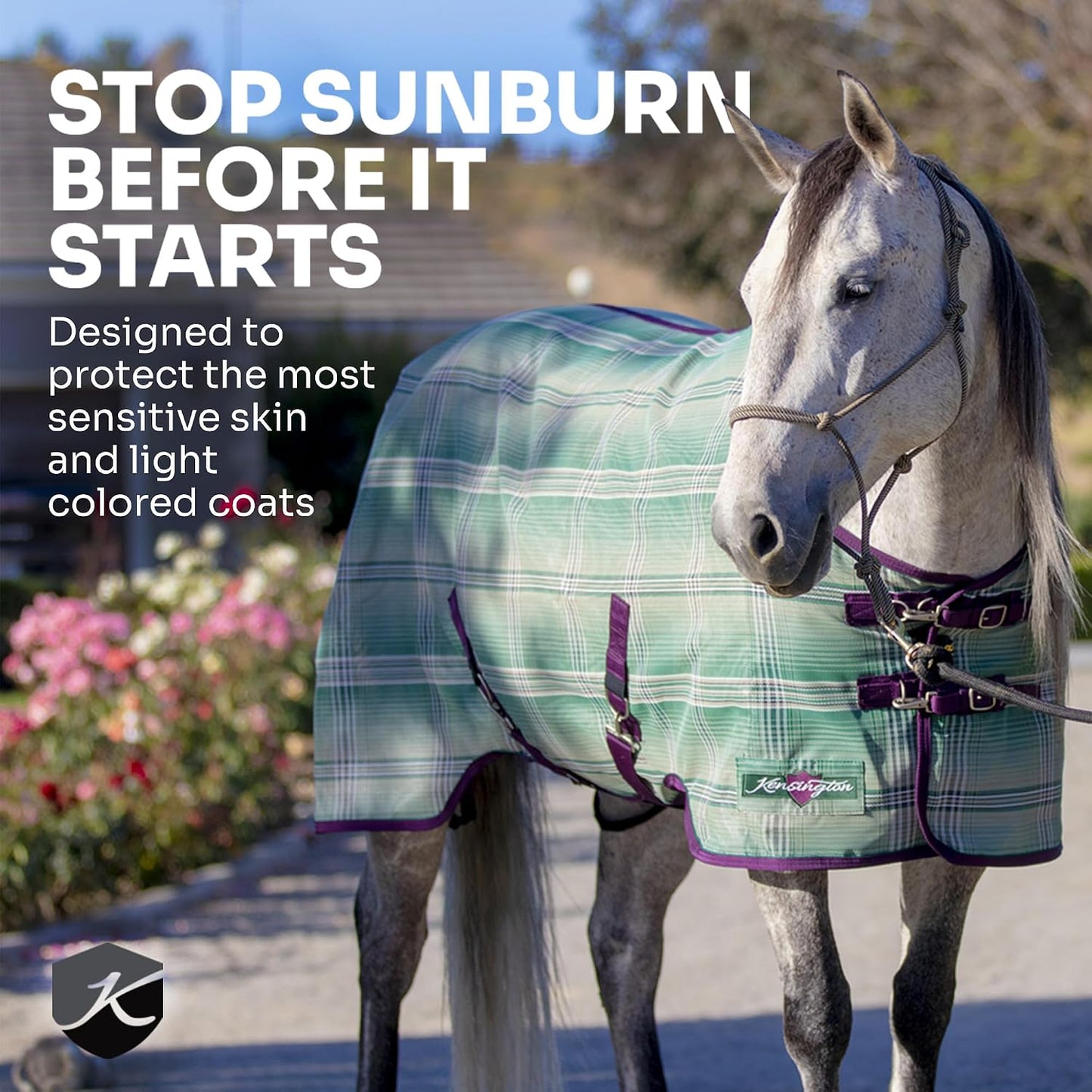 Authentic Kensington Textilene mini horse cover showing full body protective fit