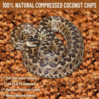 Compressed seventy-two quart coconut husk chips for reptile burrowing.