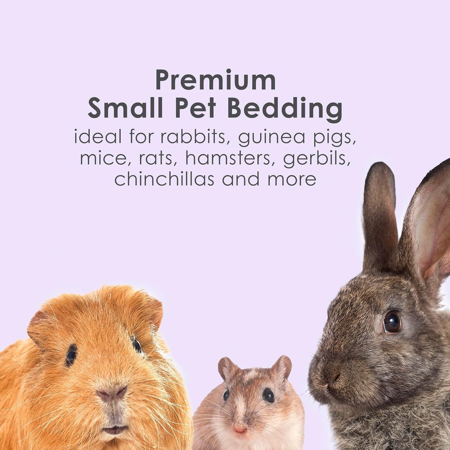 Small animal cage filled with Kaytee lavender paper bedding