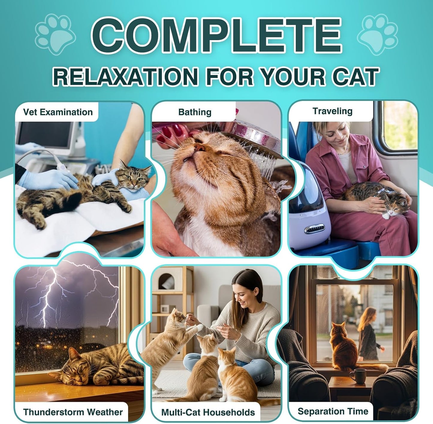 Natural ingredients label showing chamomile and melatonin for cats