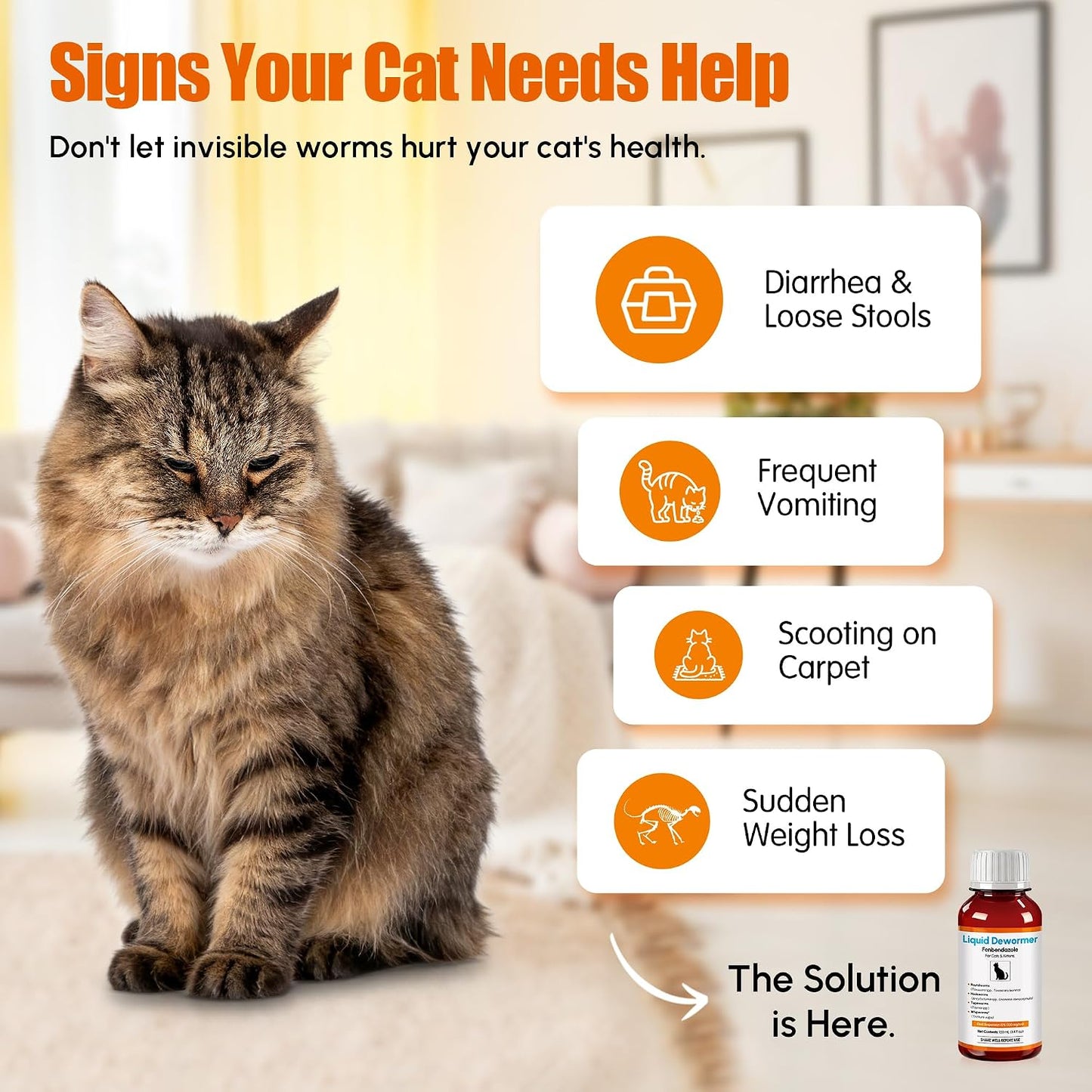 Morvequa feline dewormer oral suspension bottle and three milliliter syringe