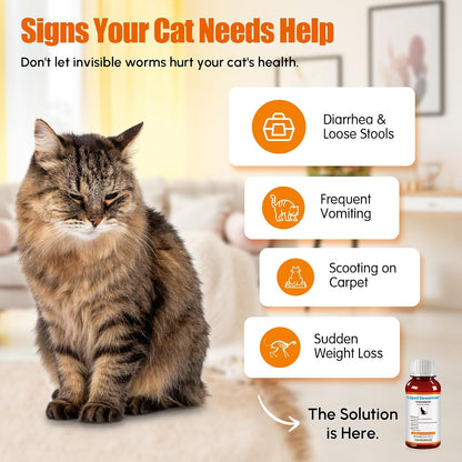 Morvequa feline dewormer oral suspension bottle and three milliliter syringe