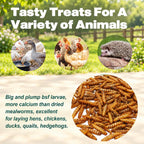 5LB Dried Black Soldier Fly Larvae for Chickens, Reptiles & Birds - Image 4