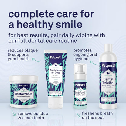 Natural mint and apple dental treatment for dogs by Petpost