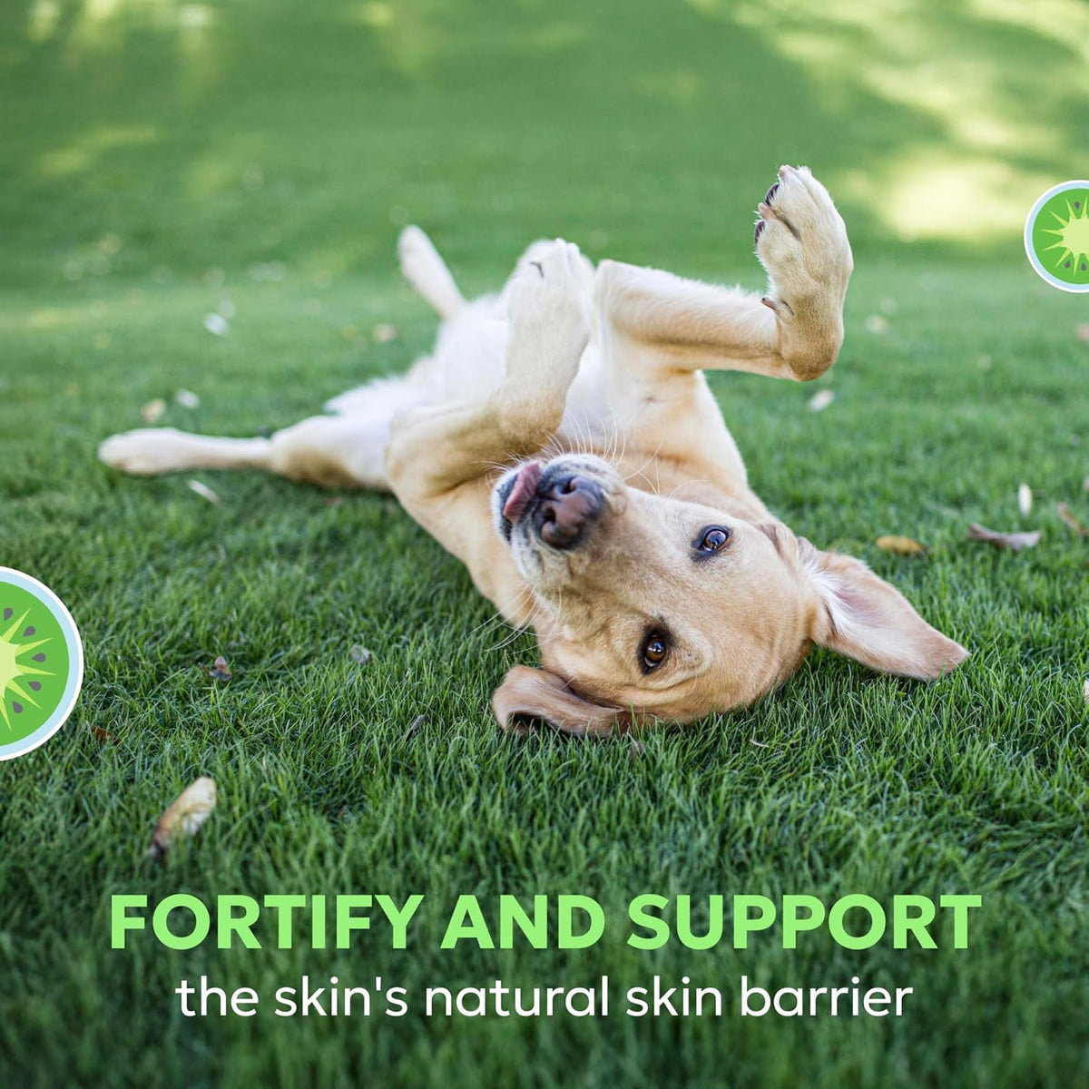 Premium imported USA pet skin health soft chews for large dog breeds