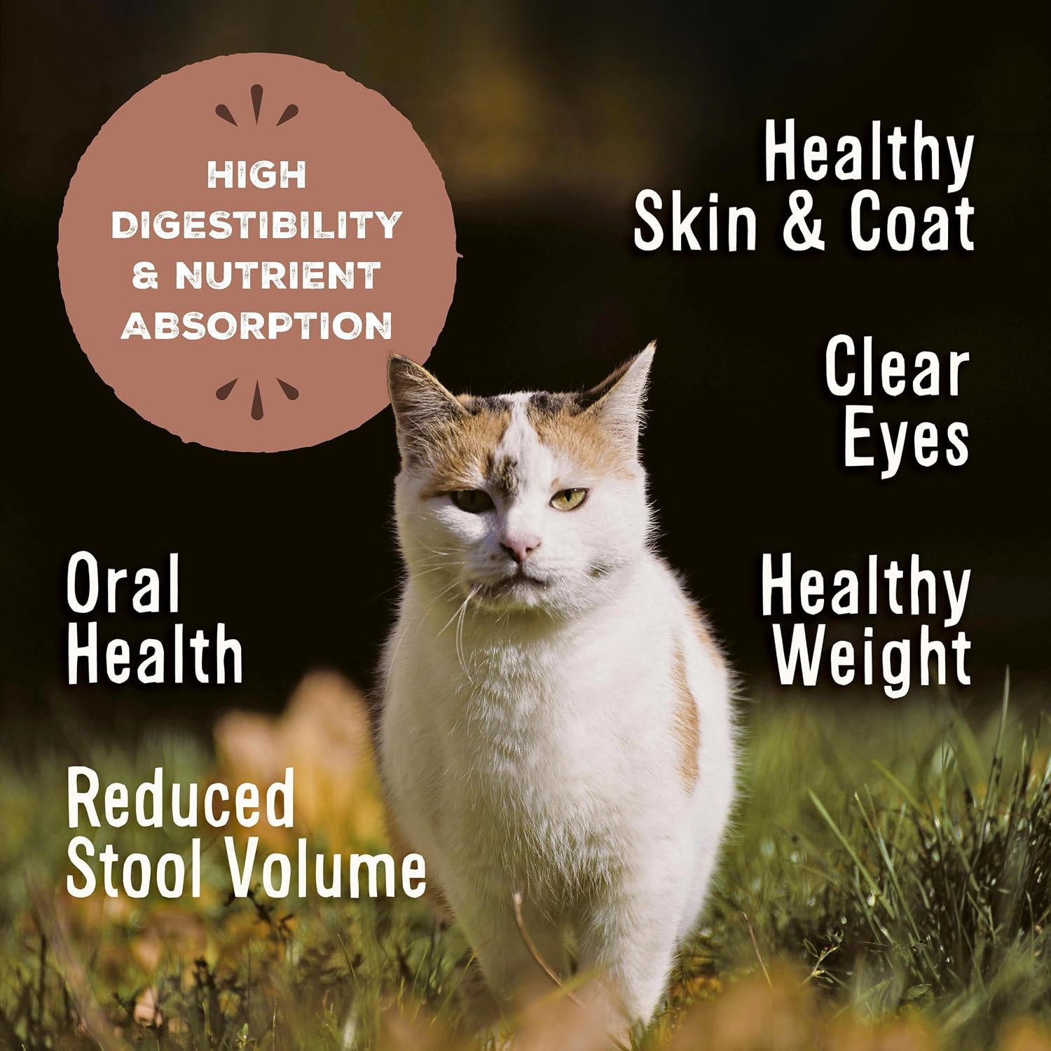 Primal pet foods authentic USA imported high protein cat food nuggets showing ingredients list