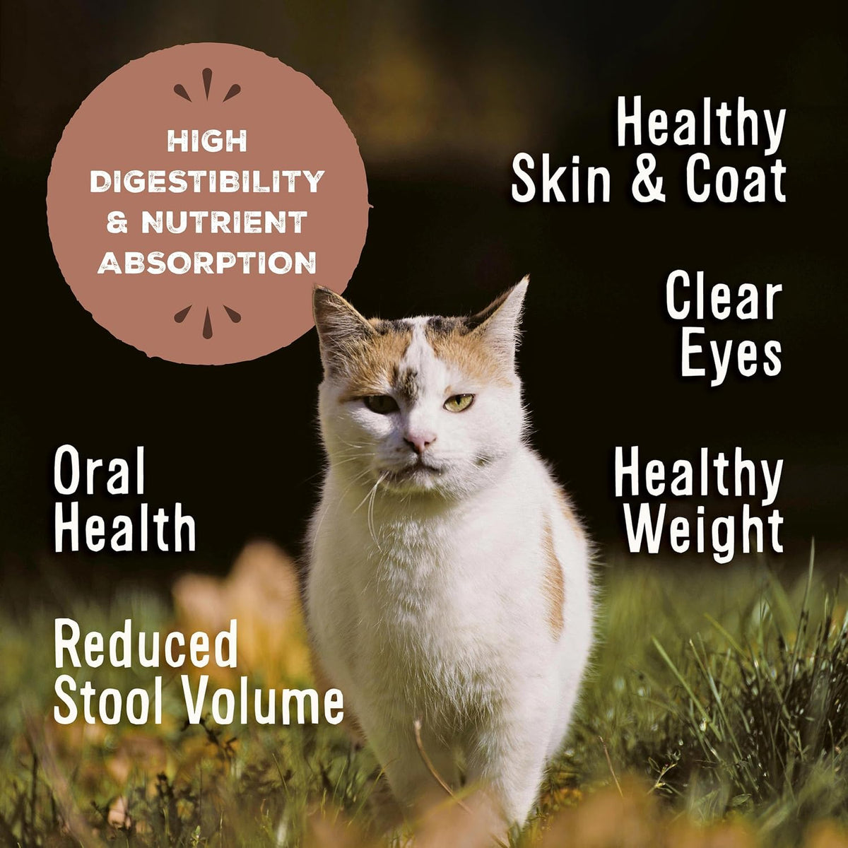 Primal freeze dried raw cat food nuggets texture