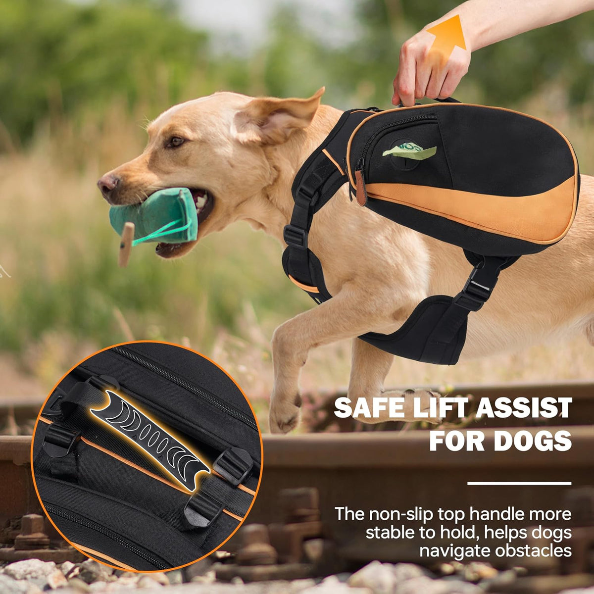 Moysoon adjustable dog backpack top view focusing on the non-slip handle and alloy leash D-ring