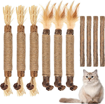 Bissap 10 piece silvervine chew sticks set for cats front view