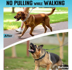 Adjustable Mozeto dog correction collar with extra link included for large breeds