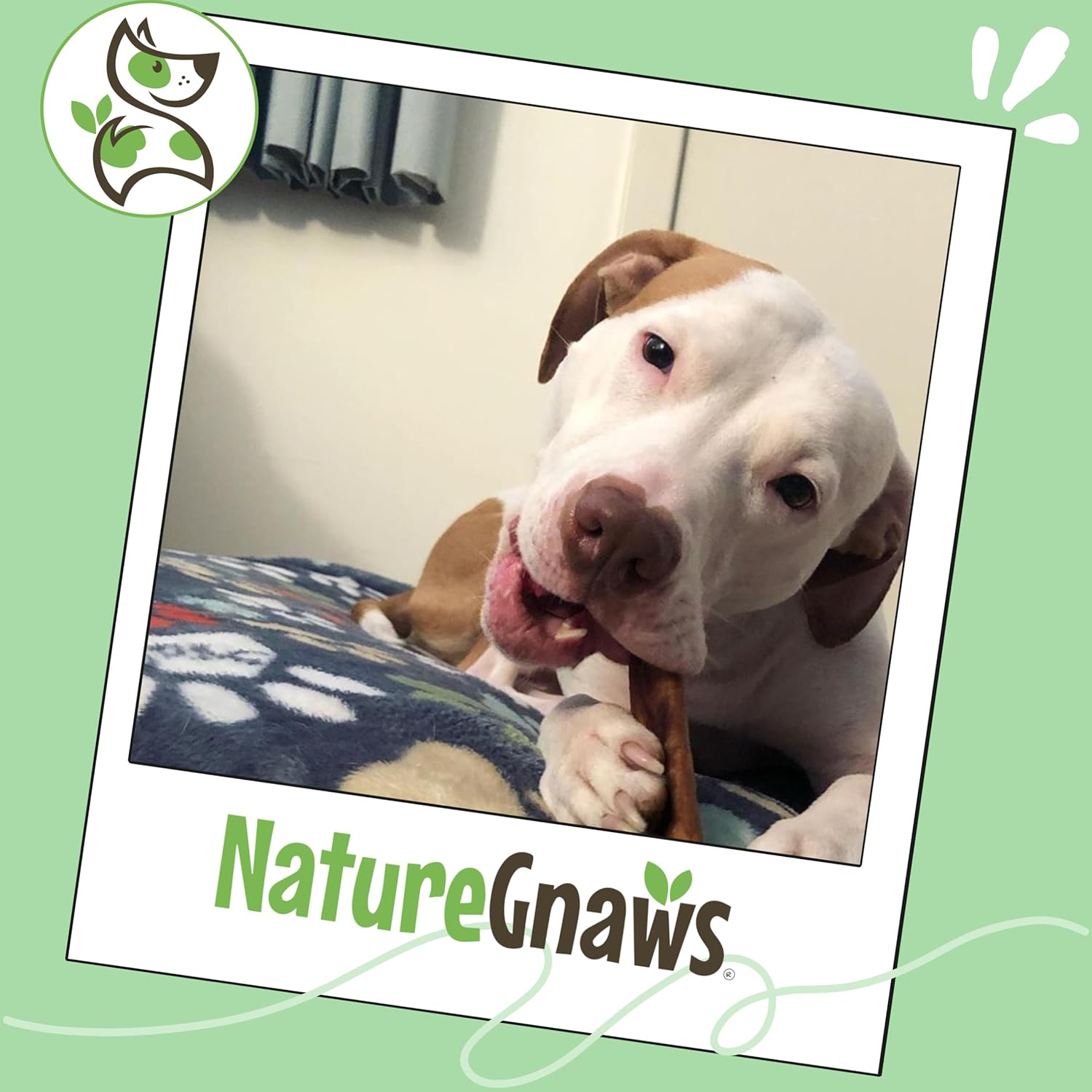 Nature Gnaws USA imported natural dog treats back label ingredients