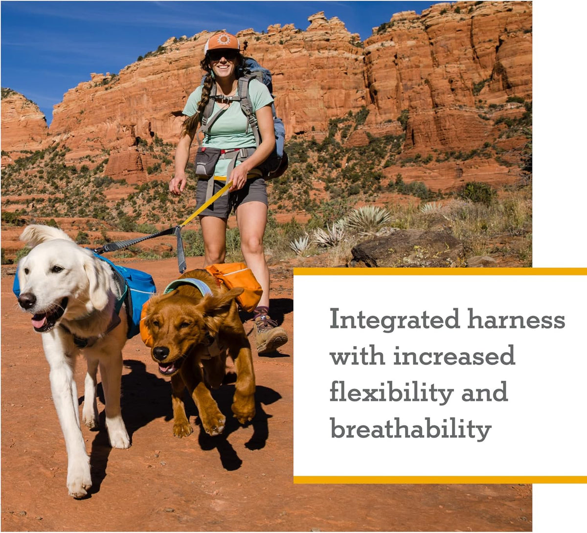 Close up of the padded lift handle and aluminum leash ring on Ruffwear pack.