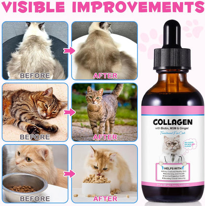 Vosifsdiy imported pet supplement packaging highlighting biotin MSM and ginger benefits