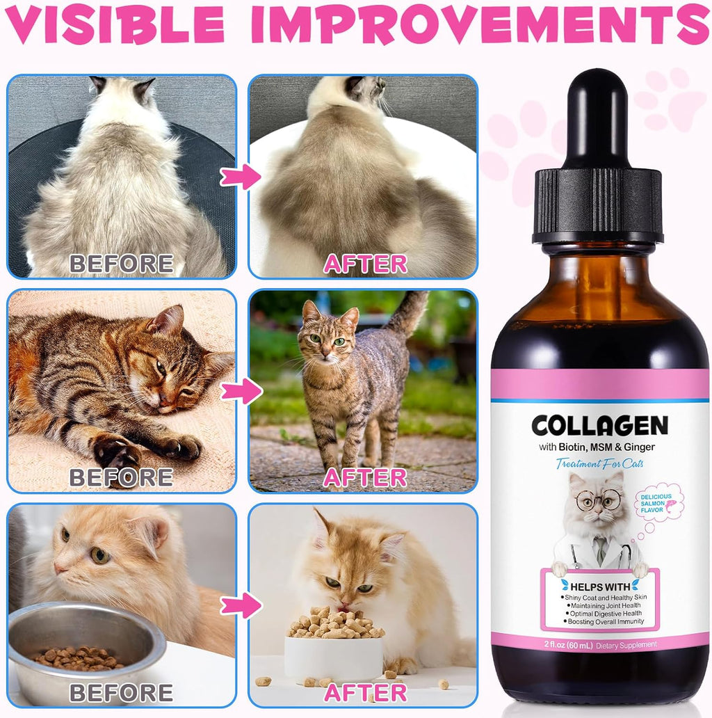 Educational graphic showing collagen benefits for pets