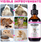 Educational graphic showing collagen benefits for pets