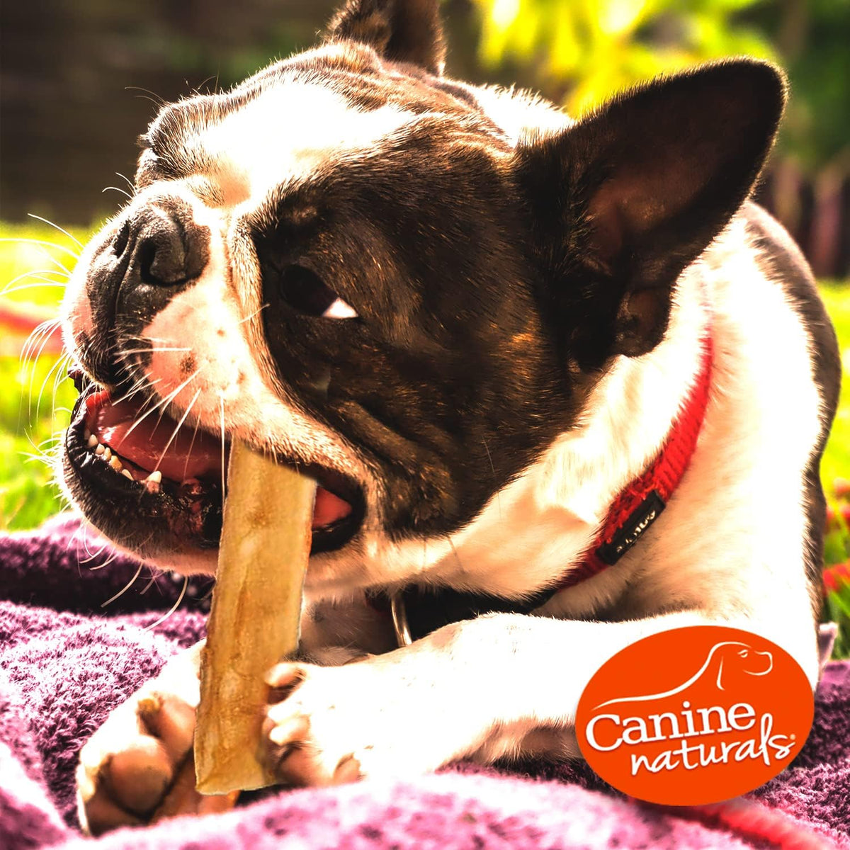 Side view of Canine Naturals beef sticks for dogs