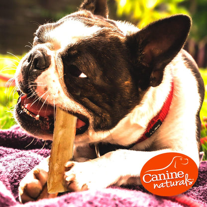 Side view of Canine Naturals beef sticks for dogs