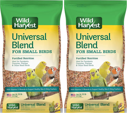 Small bird enjoying Wild Harvest Universal Blend seeds