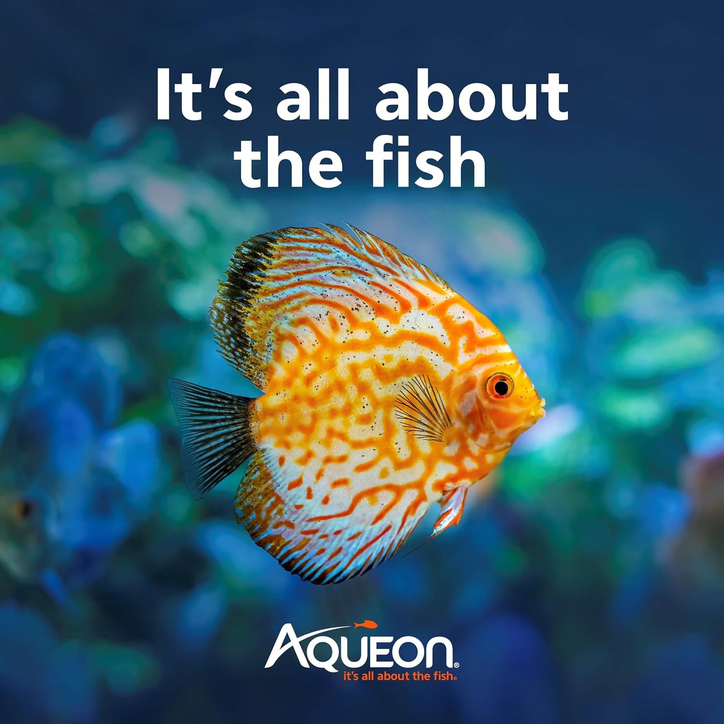 Authentic USA imported Aqueon shrimp food container for freshwater aquariums