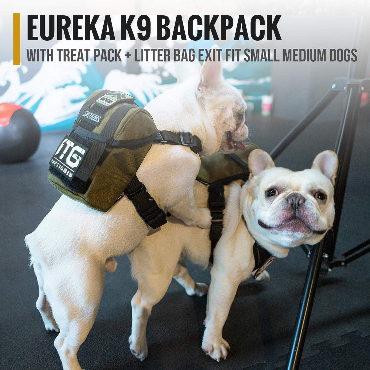 Small dog wearing the OneTigris Ranger Green Eureka backpack during an outdoor hiking trip