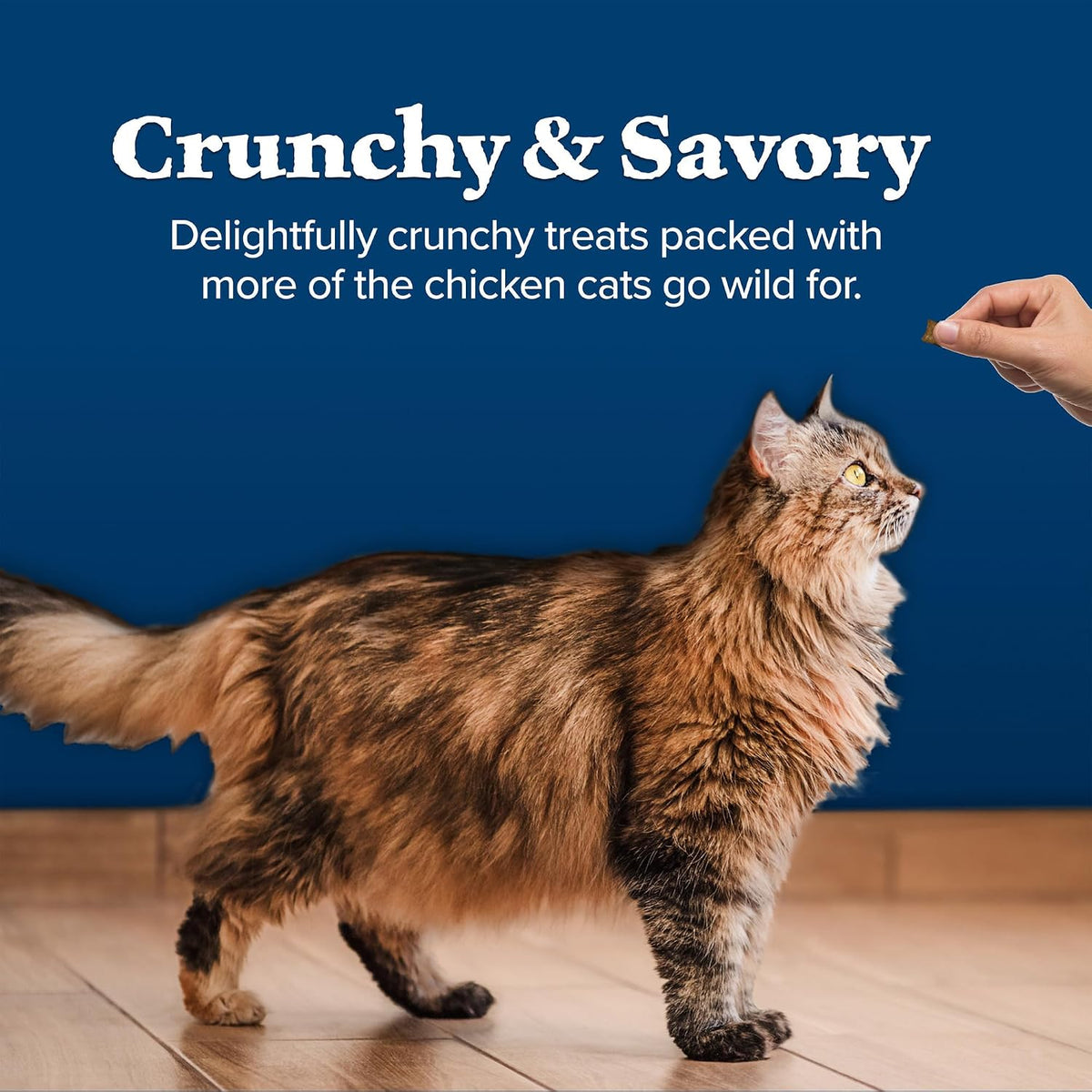 Blue Buffalo Wilderness natural cat treats feeding guide view