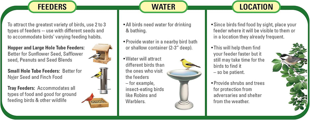 Backyard bird feeding station with Wagner's sunflower seed bag