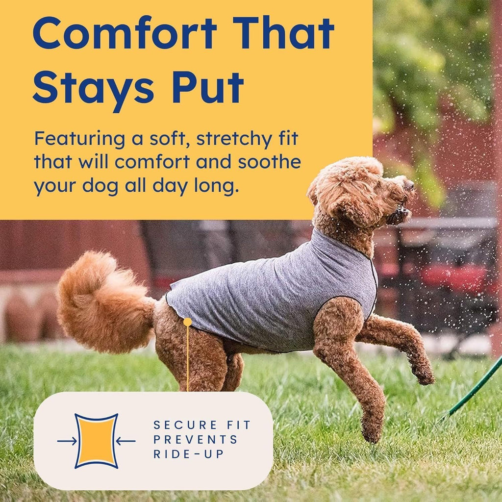 Gold Paw dog apparel for sun and heat protection