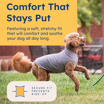 Gold Paw dog apparel for sun and heat protection