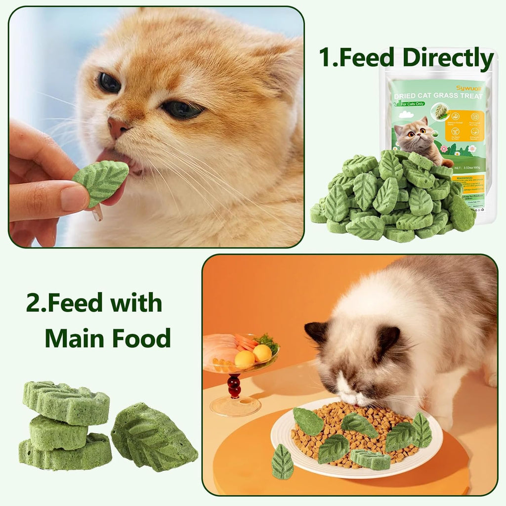 100g/3.52oz Cat Grass Treats, Cat Grass Teething Stick for Hairball Remove and Teeth Cleaning, Edible Cats-Grass Stick Snack - Image 9