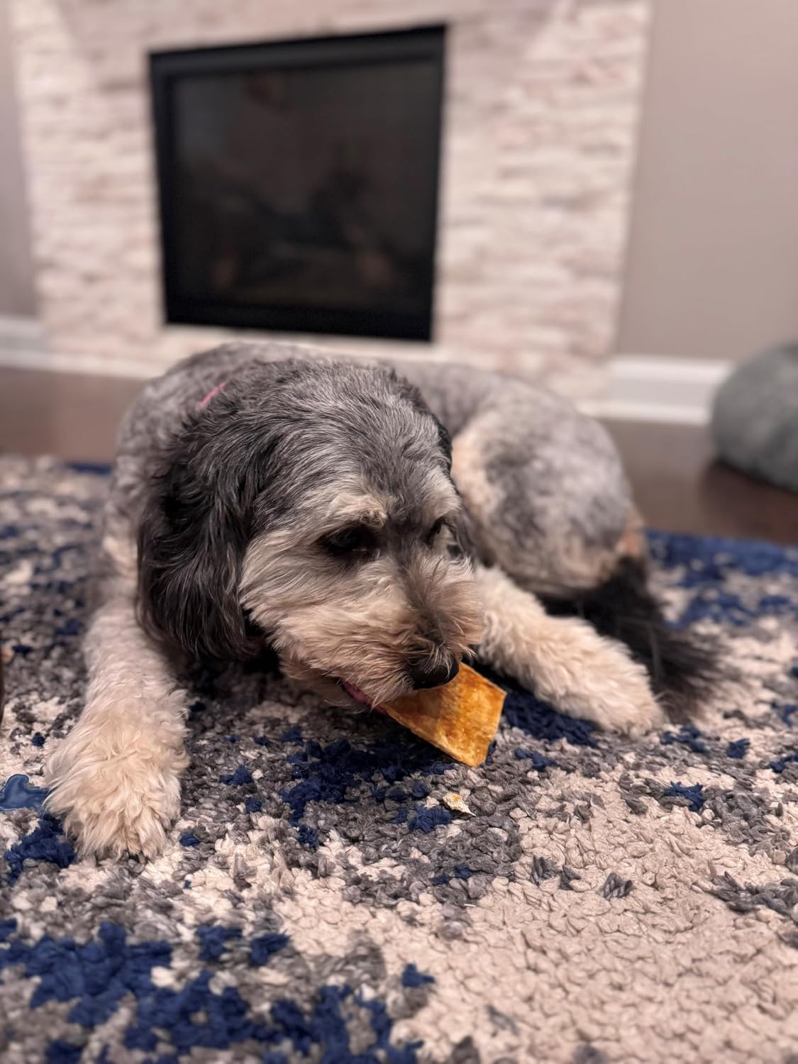Premium USA imported collagen dog snacks for small and medium breeds