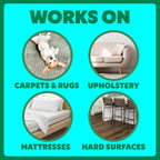 Using Shout Pet Stain Remover on carpet mess