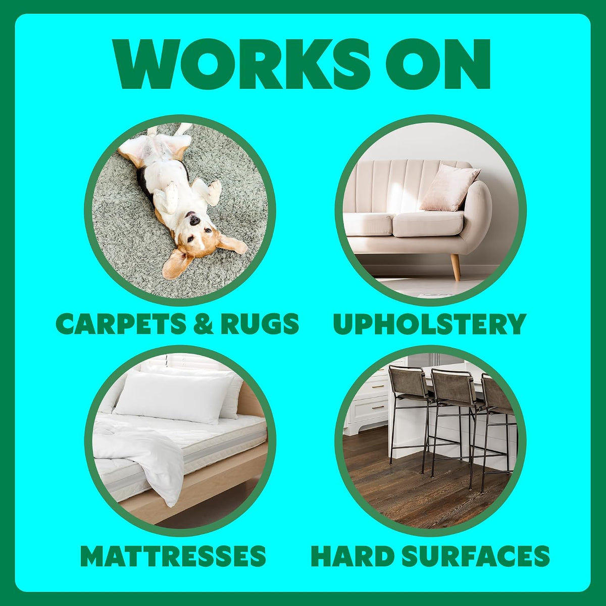 Using Shout Pet Stain Remover on carpet mess