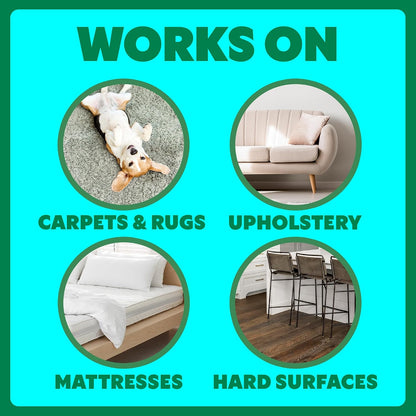 Using Shout Pet Stain Remover on carpet mess
