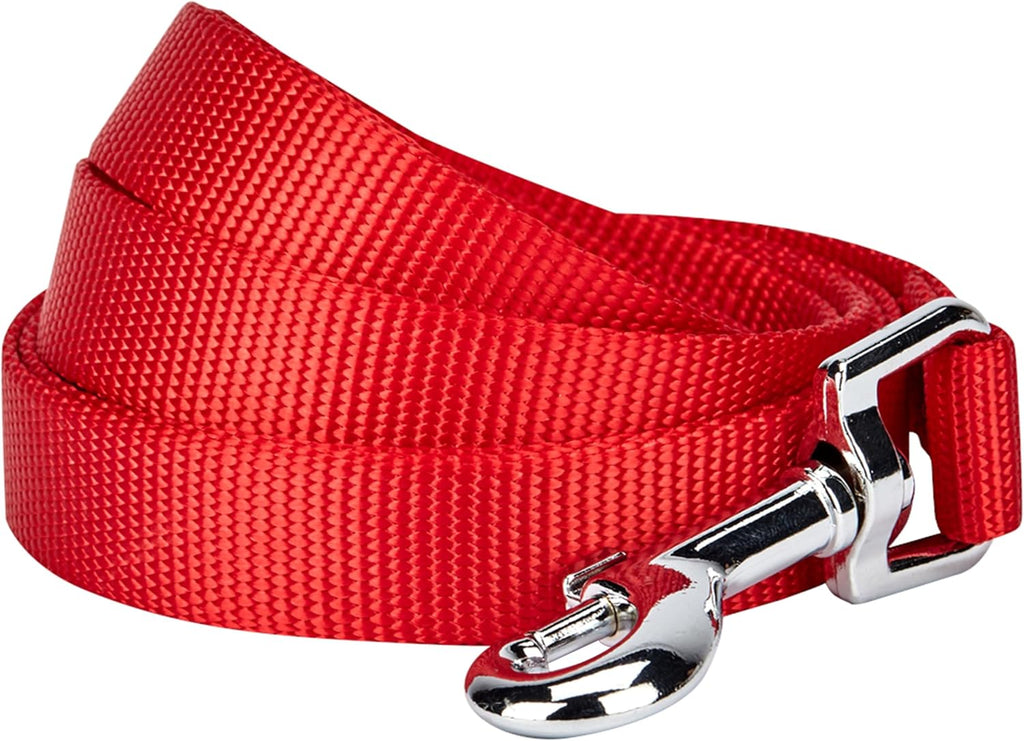 Blueberry Pet Essentials Marina Blue Dog Leash for Large - 4' * 1" Dogs | Heavy Duty Nylon Lead | Lightweight Puppy & Cat Leash for Walking & Training - Image 13