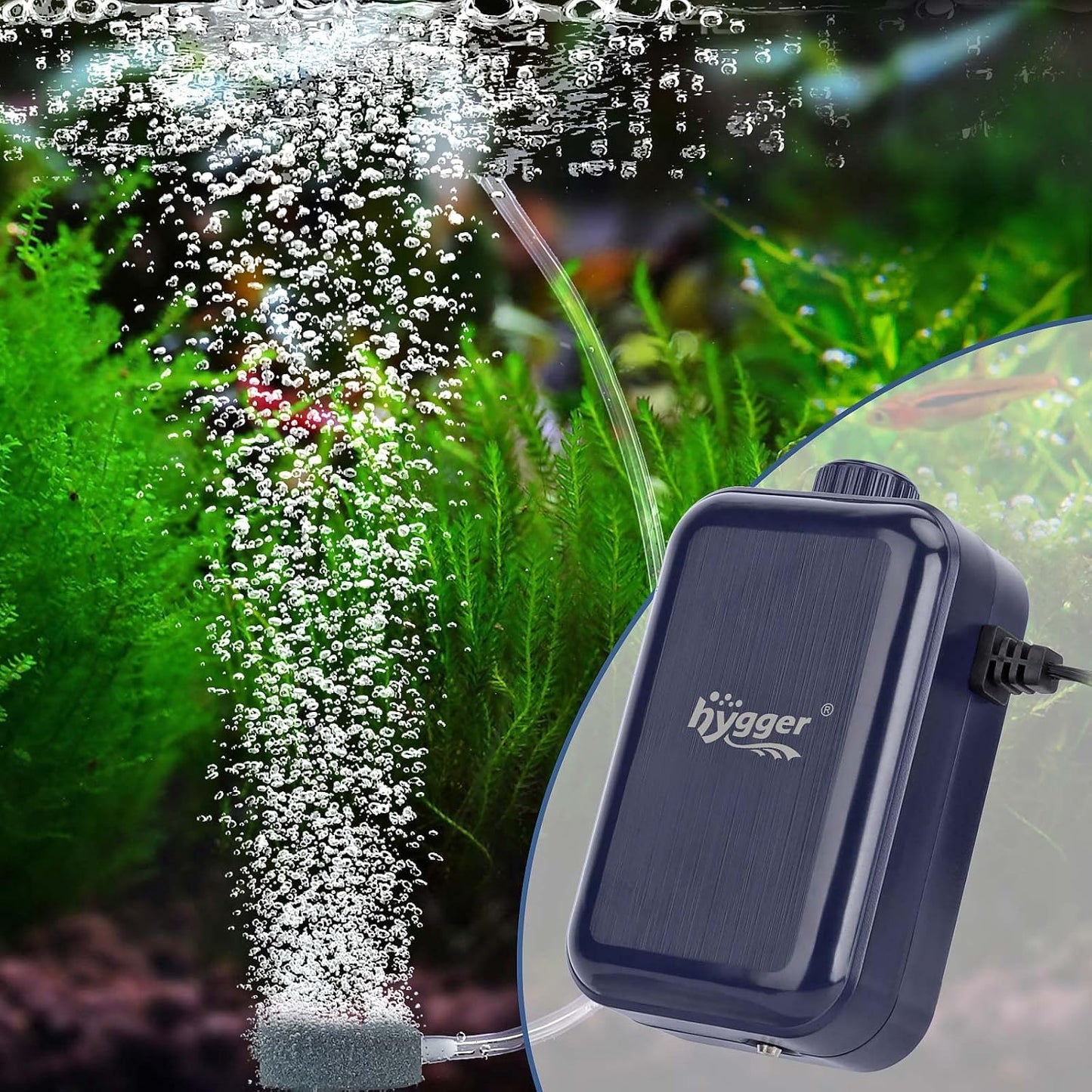 Hygger aerator pump connected to air stone in tank