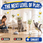 CATPICK self-play pet device demonstrating the 360-degree rotating motion paths