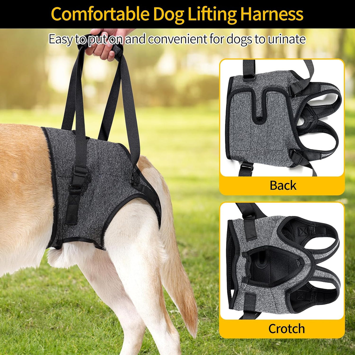 Senior dog wearing Heywean hind leg support harness for climbing stairs