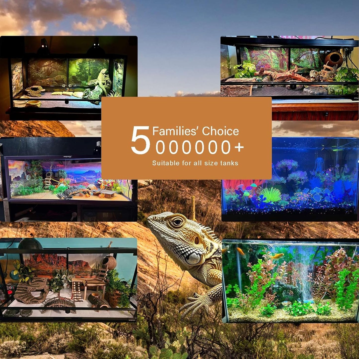 Riivvdise freshwater habitat poster background displayed on a medium-sized aquarium.