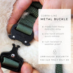 Side profile of premium nylon dog collar with metal hardware