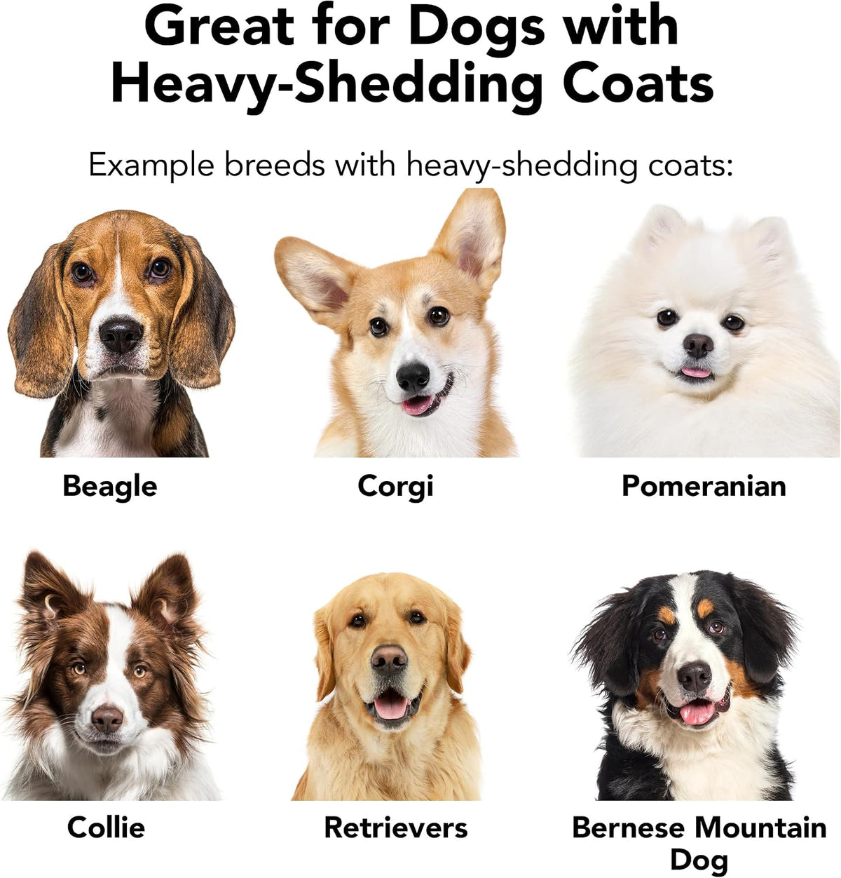 Pride and Groom The Shedder | Dog Deshedding Shampoo | All Natural Body Wash with Essential Oils & Ingredients that Reduce Pet Shedding & Fur Dander for Curly and Wavy Coats - 16oz - Image 9